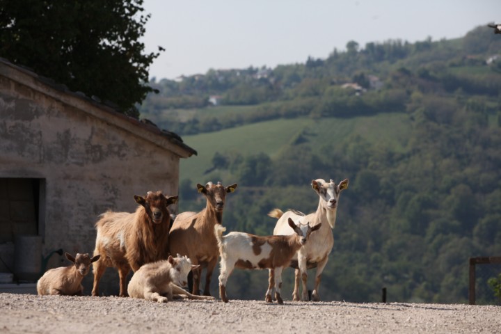 Countryside, Montefiore Conca photo by PH. Paritani