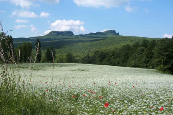 Parco naturale del Sasso Simone e Simoncello photos de Archivio fotografico Parco Sasso Simone