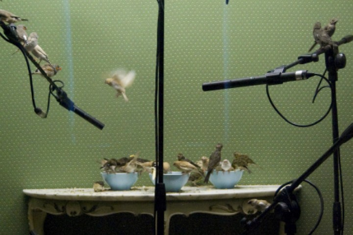 Santarcangelo dei Teatri photo by Archivio Provincia di Rimini