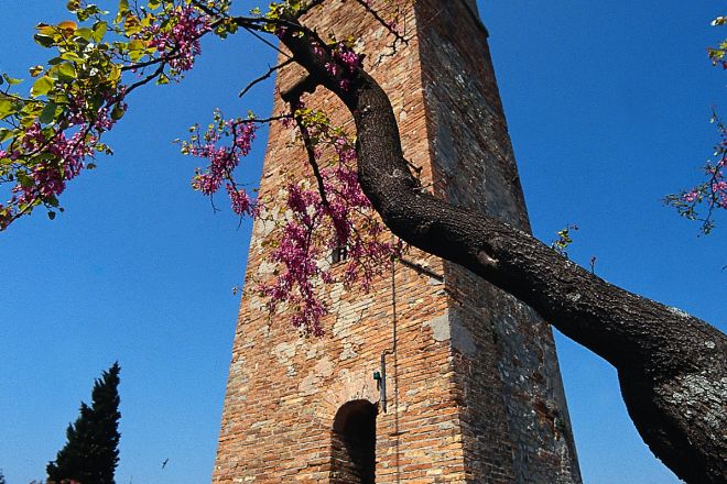 Torre campanaria Foto(s) von S. di Bartolo