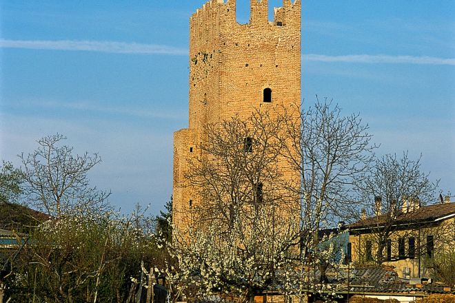 Torre Foto(s) von T. Mosconi