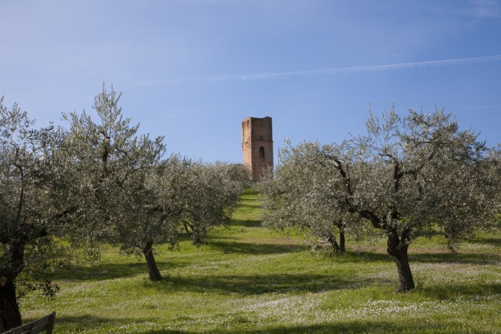 Campagna, Montescudo Foto(s) von PH. Paritani