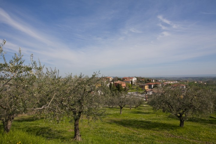 Trarivi, Montescudo photo by PH. Paritani