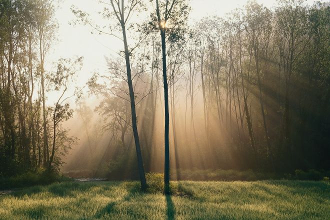 Valle del Ventena Foto(s) von T. Mosconi