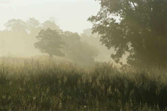 Valle del Ventena Foto(s) von T. Mosconi