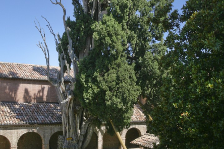 Cloister of St. Francis, Verucchio photo by PH. Paritani