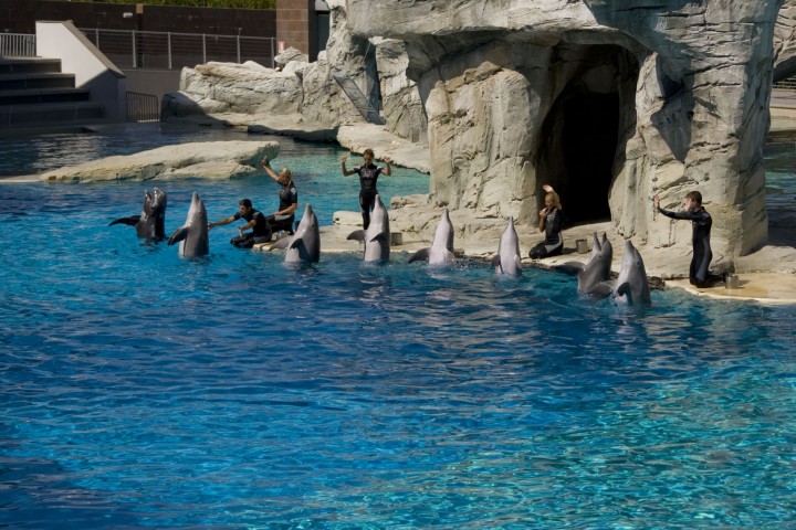 Oltremare, Riccione photos de Archivio fotografico Parco Oltremare