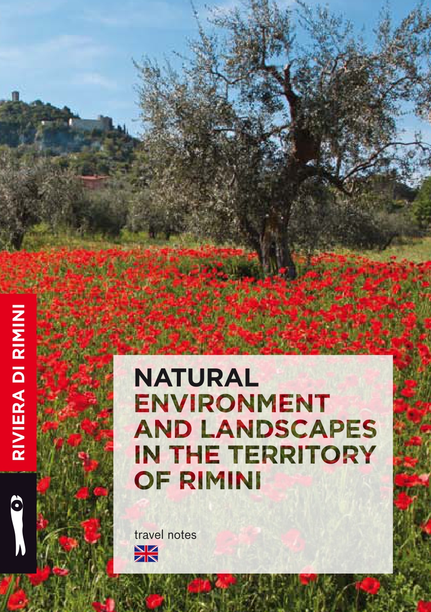 PDF: Natural environment and landscapes in the territory of Rimini EN 191.52K