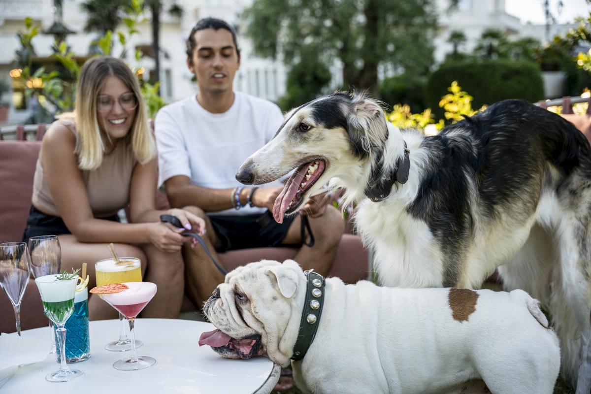 Rimini | pet foto di Fabio Bullini