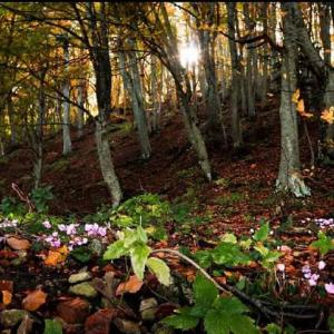 Montecopiolo | percorso biodiversità