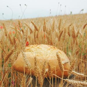 Maiolo | festa del pane