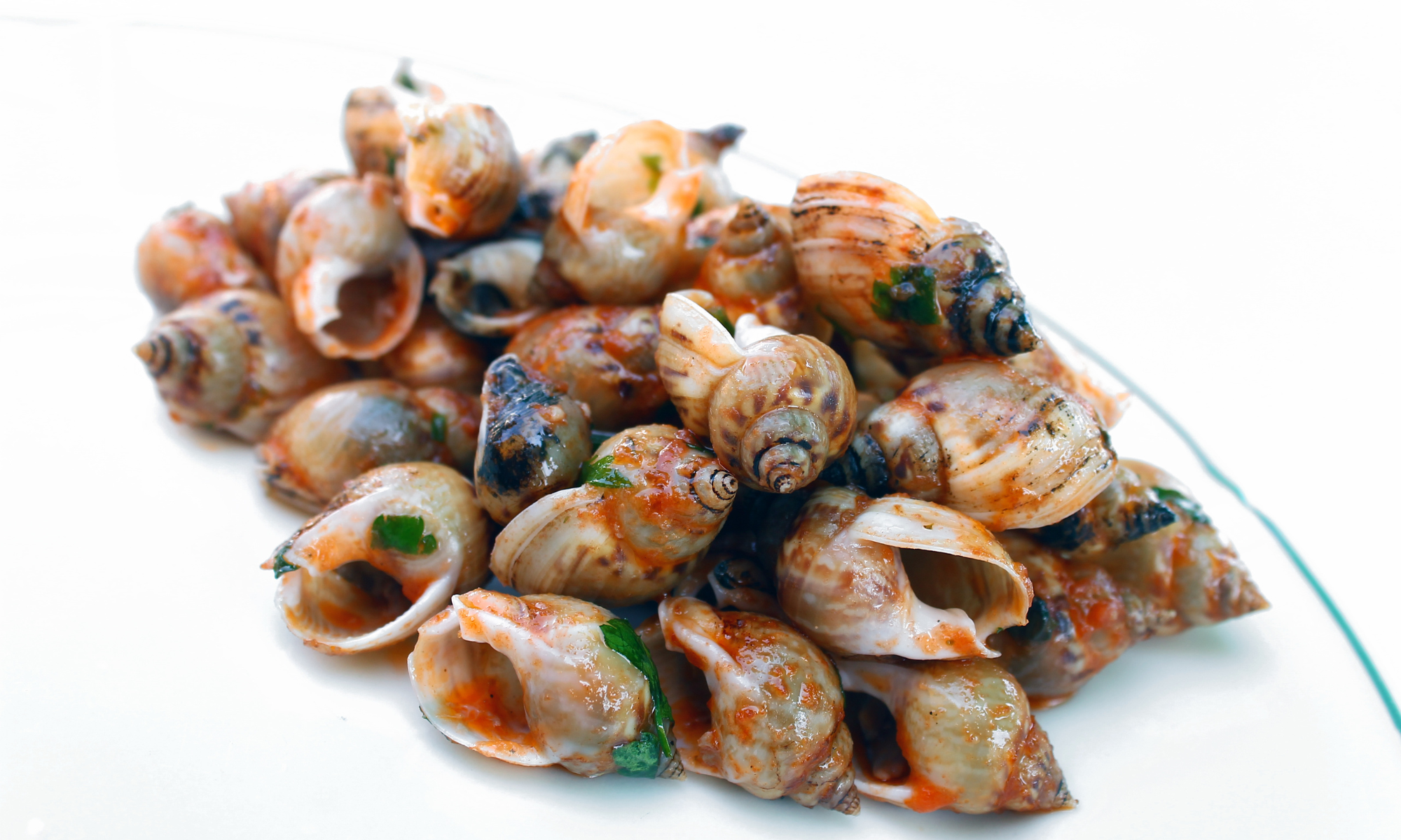Sea snails recipe | Riviera di Rimini